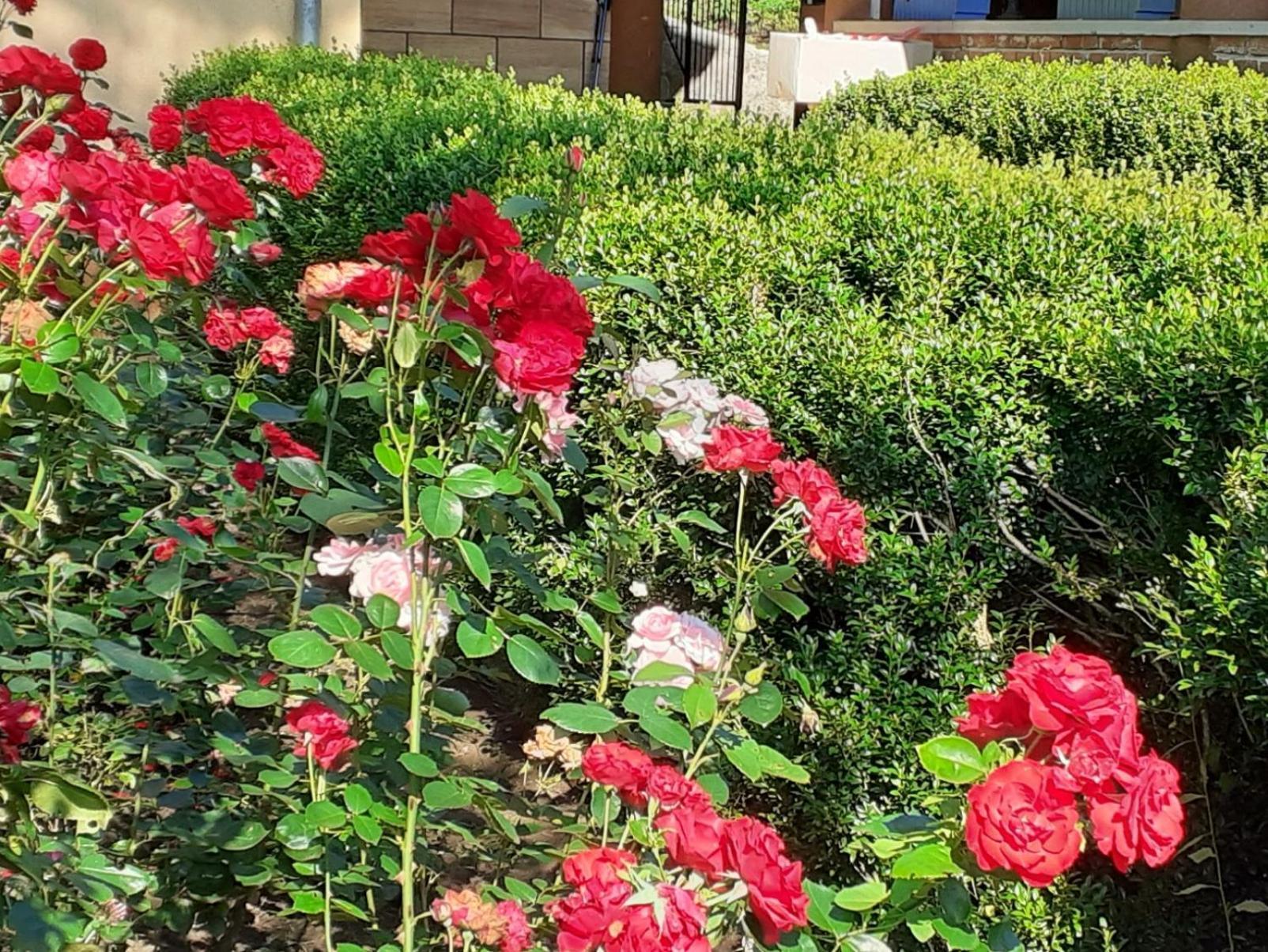 Smjestaj Na Selu,Porodica Gvozdenac Apartment Sipovo Luaran gambar